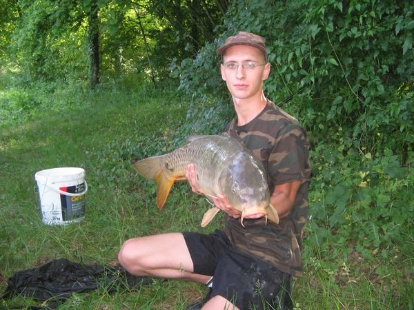 carpe 12 ,2 kilo.jpg